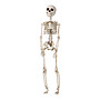Hanging Skeleton 29 cm