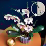 LEGO Botanicals 10311, Orchid