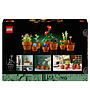 LEGO Botanicals 10329, Små växter