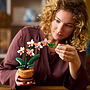 LEGO Botanicals 10343, Miniorkidé