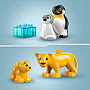 LEGO DUPLO Town 10442, Vilda djurfamiljer: Pingviner och lejon