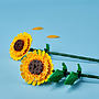 LEGO Botanicals 40524, Solrosor