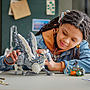 LEGO Harry Potter 76427, Vingfåle