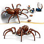 LEGO Harry Potter 76434, Aragog i den förbjudna skogen