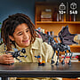 LEGO Harry Potter  76458, Testralfamilj
