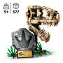LEGO Jurassic World 76964, Dinosauriefossiler: T. rex-skalle