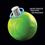 Smart Ball Soccerbot