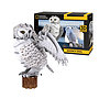 National Geographic, Snowy Owl