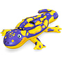 Bestway, 6'3" X 465"/191M X 119M Splashin' Salamander Ride-on