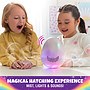 Hatchimals Alive Secret Hatch Pandoo