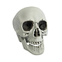Halloween, Skull With Movable Jaw
