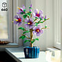 LEGO Botanicals 10372, Hibiskus